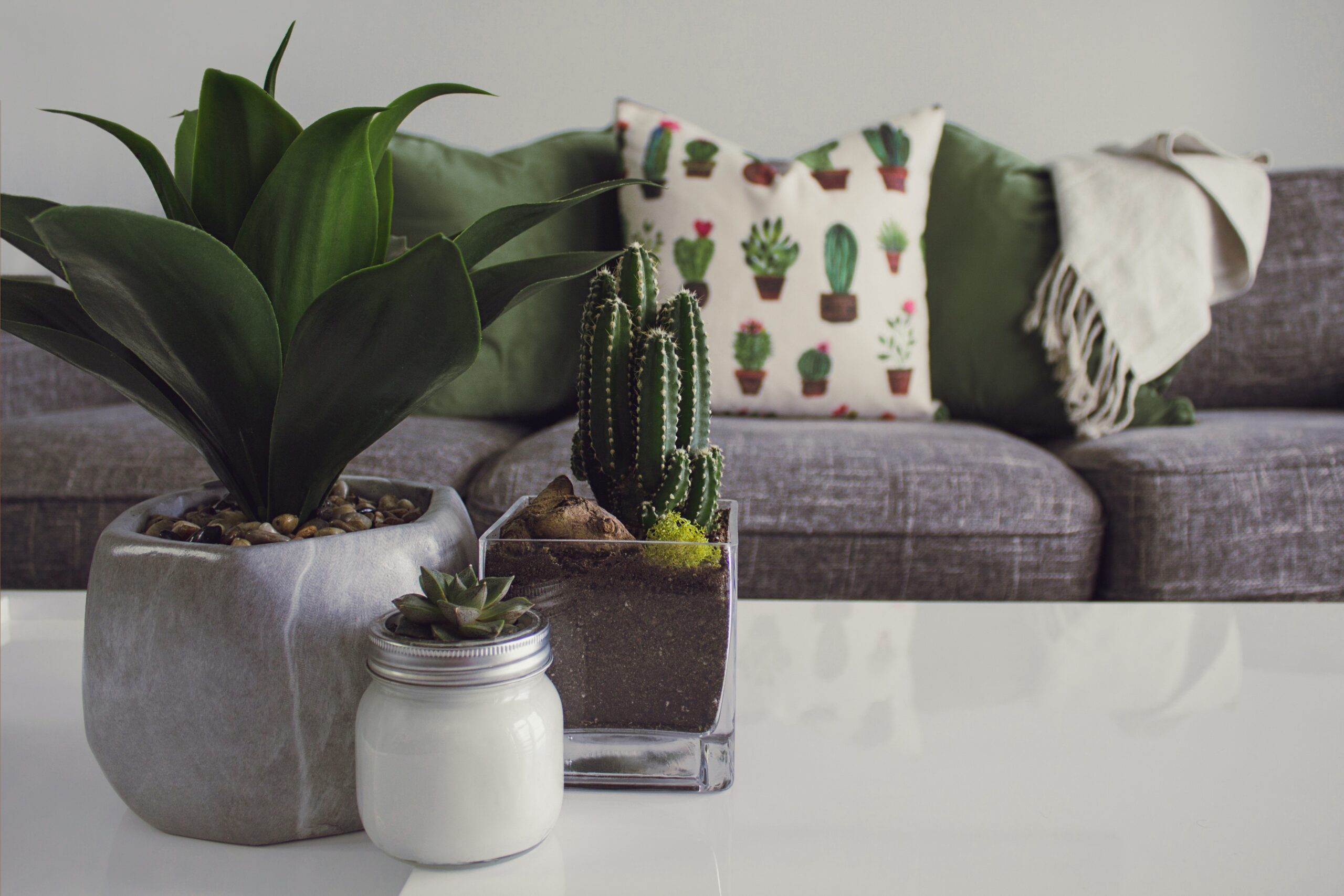 mobilier décor