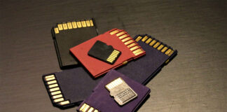 sd card and microSD card